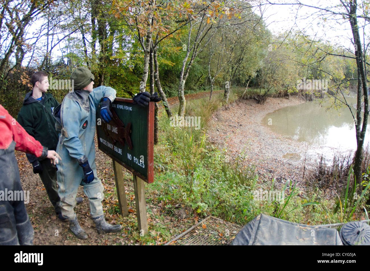 pesci del reticolato Foto Stock