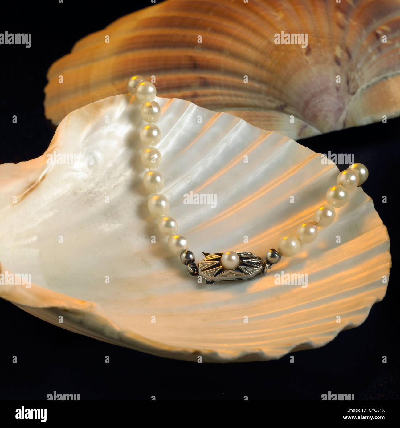 Studio shot di una collana di perle naturali decorate in conchiglia in black back Foto Stock