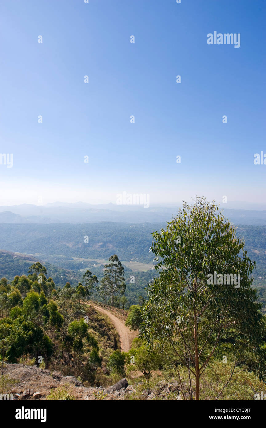 Vista verticale del meraviglioso paesaggio in alto sulle colline tra Munnar e Mattupetty in una limpida giornata di sole. Foto Stock