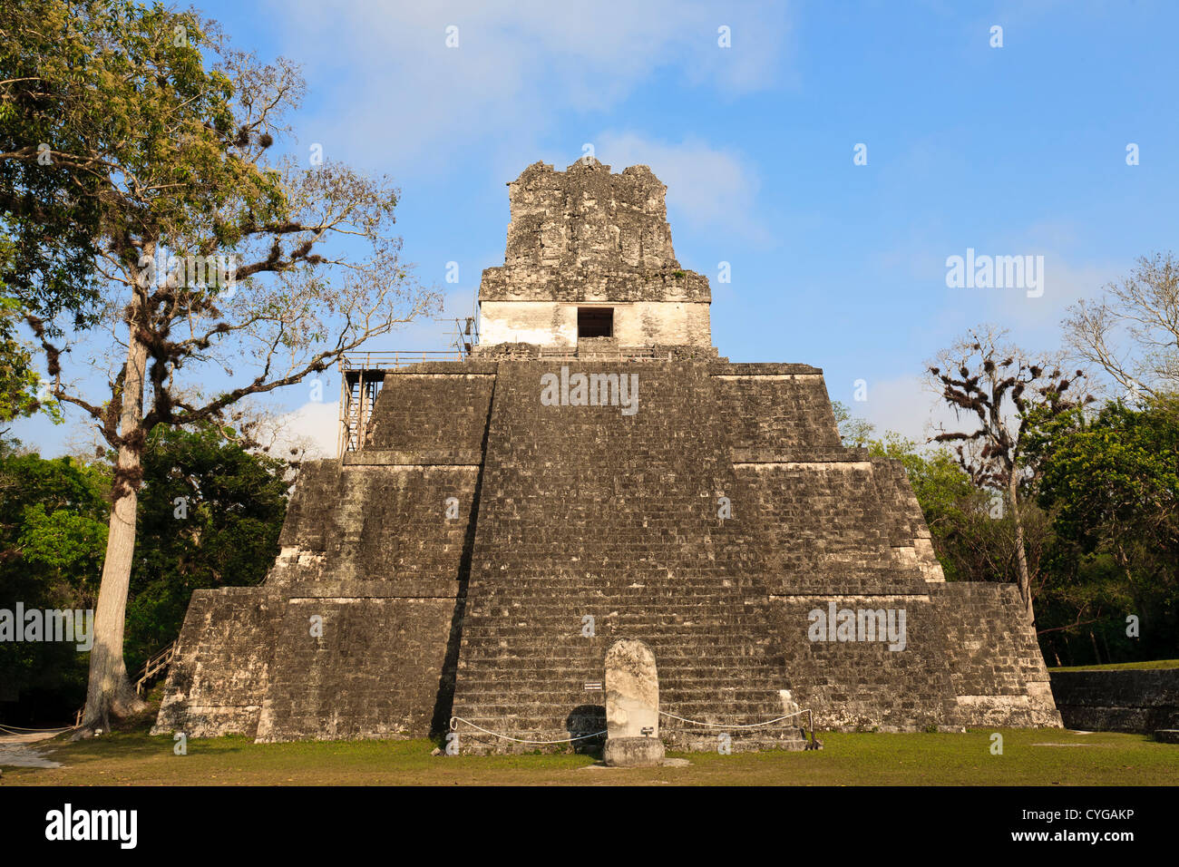 Tempio maya della Jaguar in Tikal, Guatemala, non lontano dal confine con il Belize Foto Stock