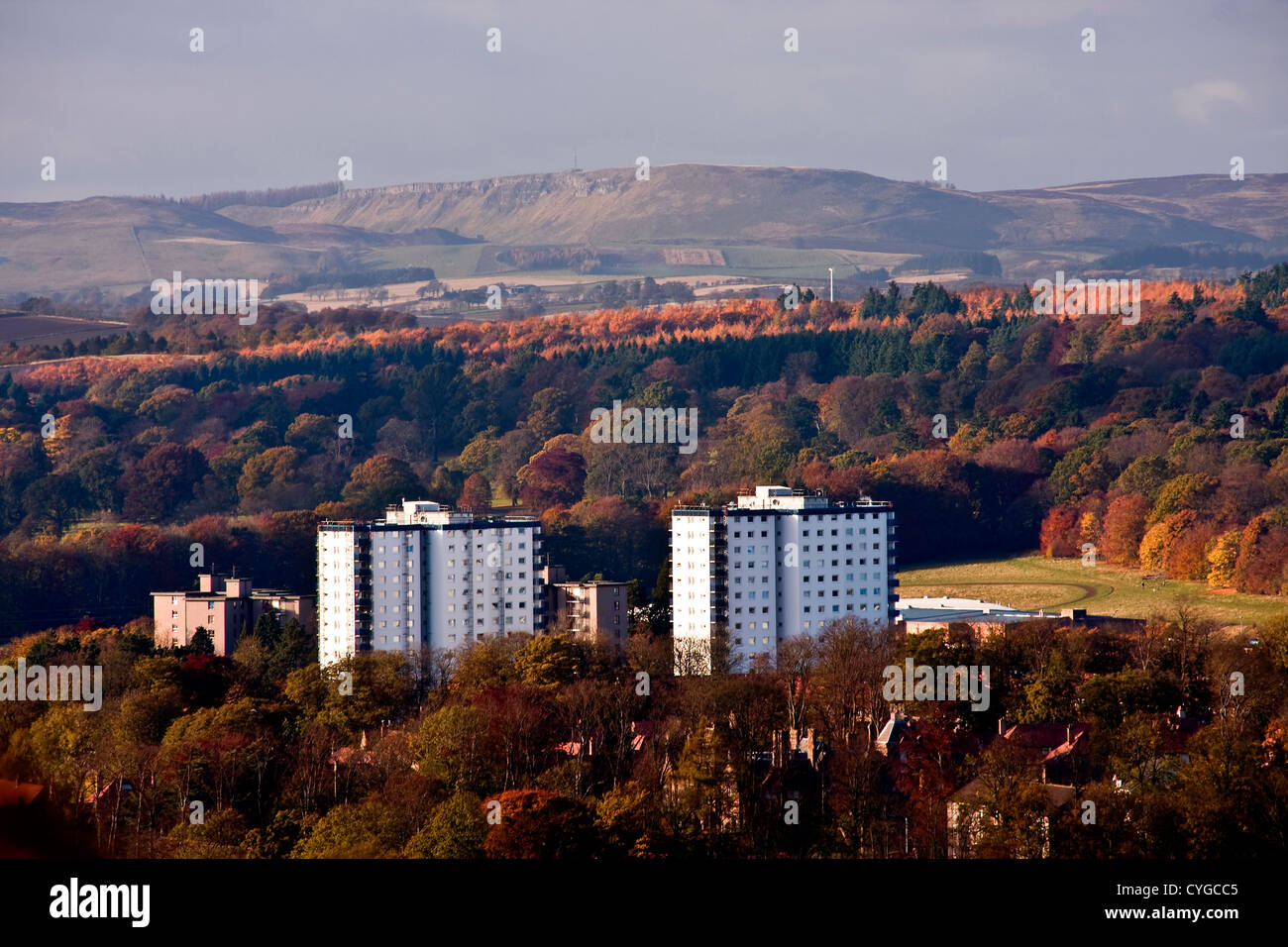 Vista del paesaggio di due bianchi degli anni sessanta Hiighrises circondato da alberi con colori autunnali nelle aree urbane Dundee,UK Foto Stock