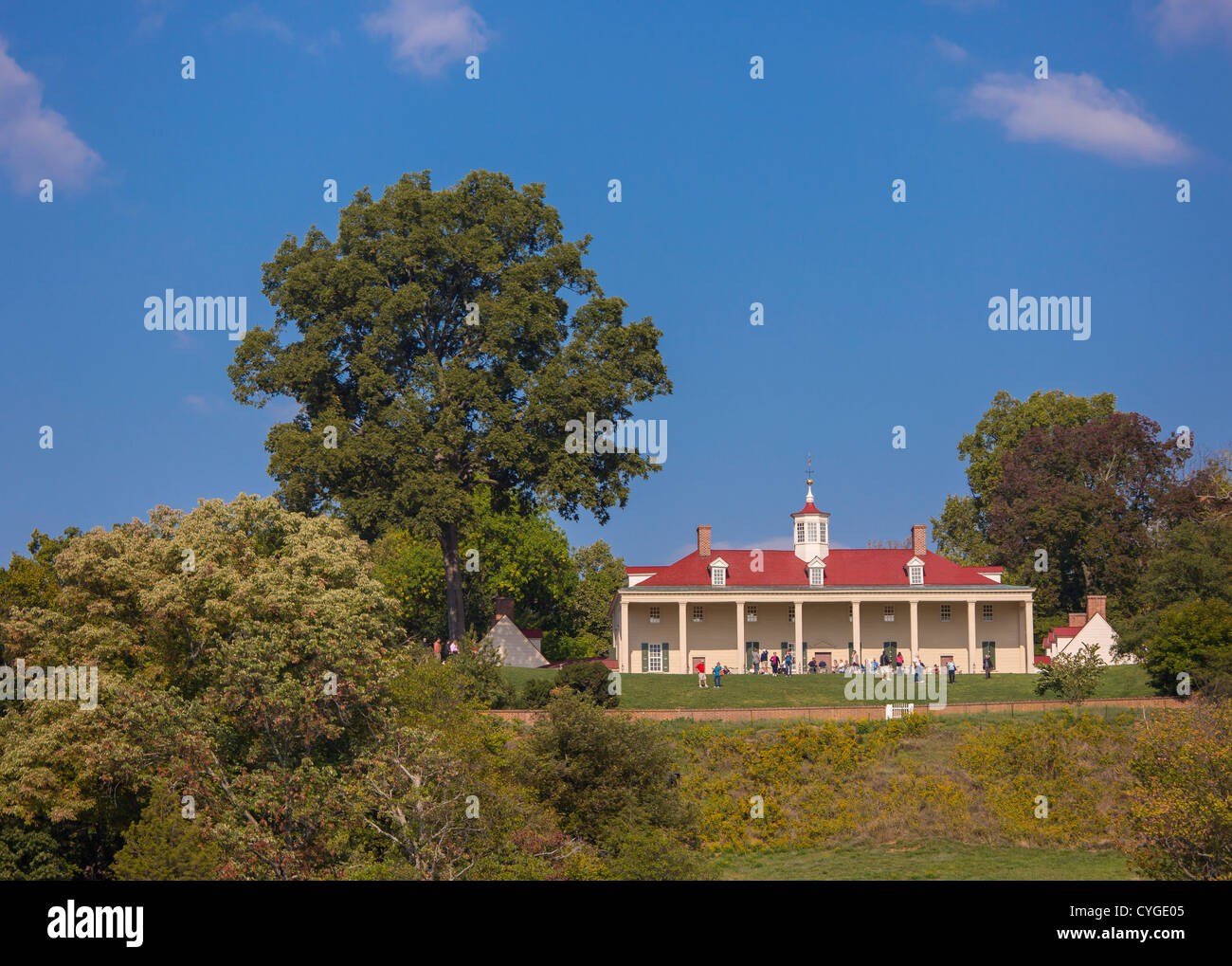 MOUNT VERNON, Virginia, Stati Uniti d'America - Pecan tree (in alto a sinistra) alla storica casa di George Washington, il primo Presidente degli Stati Uniti d'America. Foto Stock