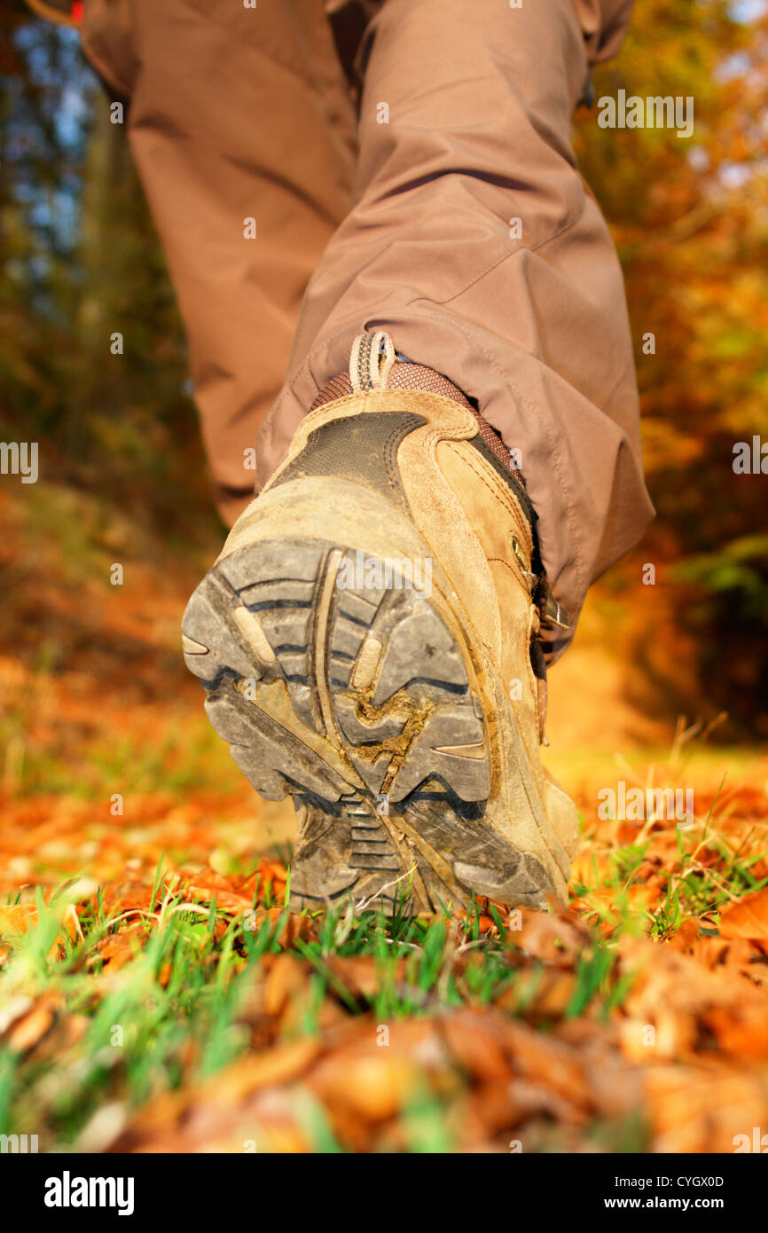 Escursionismo vista dal suolo Foto Stock
