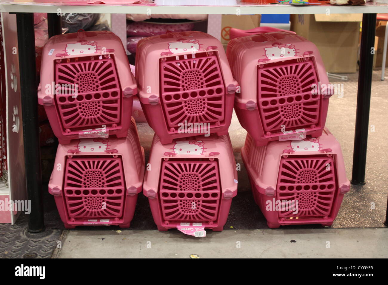 4 Nov 2012 Mostra Felina Cat mostra a Roma Italia Foto Stock