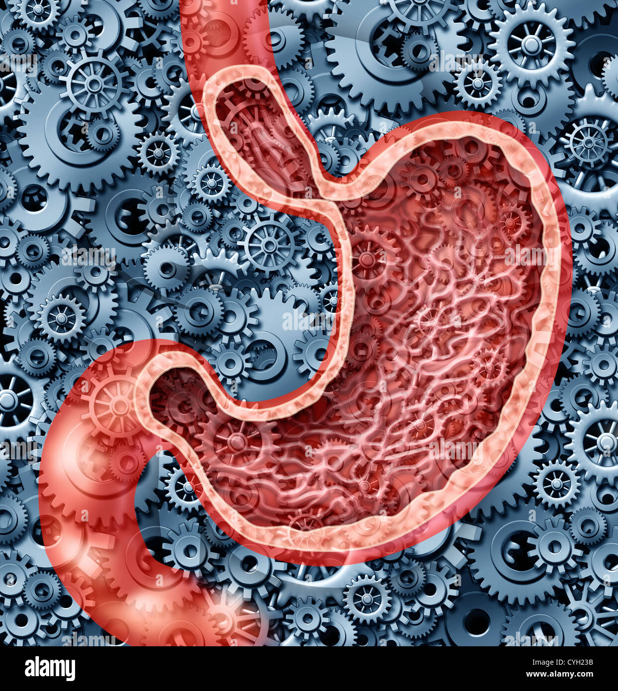 Digestione umana funzione come un stomaco anatomia dell'interno umano organo digerente rappresentata dagli ingranaggi e ruote dentate lavorando per digerire il cibo con succhi gastrici come una cura di salute diagramma illustrativo. Foto Stock