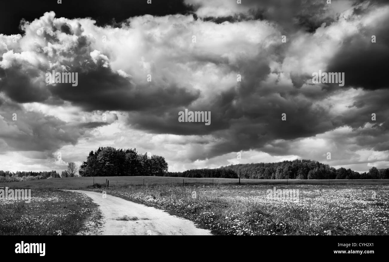 Nero-bianco paesaggio. Cielo nuvoloso, campo e strada rurale. Foto Stock