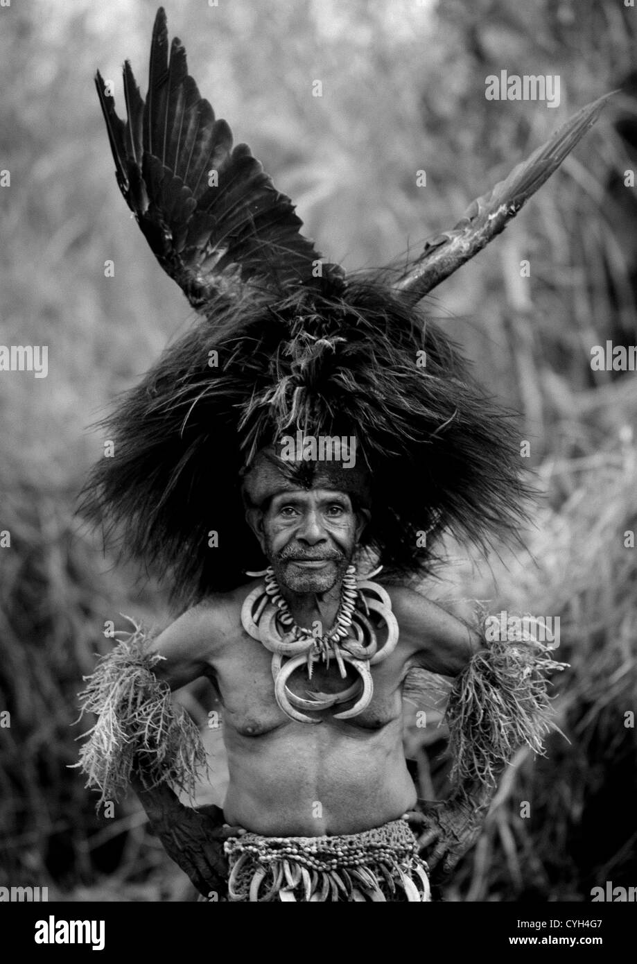 Chimbu Tribe Uomo durante il Mount Hagen cantare cantare spettacolo culturale, Mt Hagen, Highlands Occidentali, Papua Nuova Guinea Foto Stock
