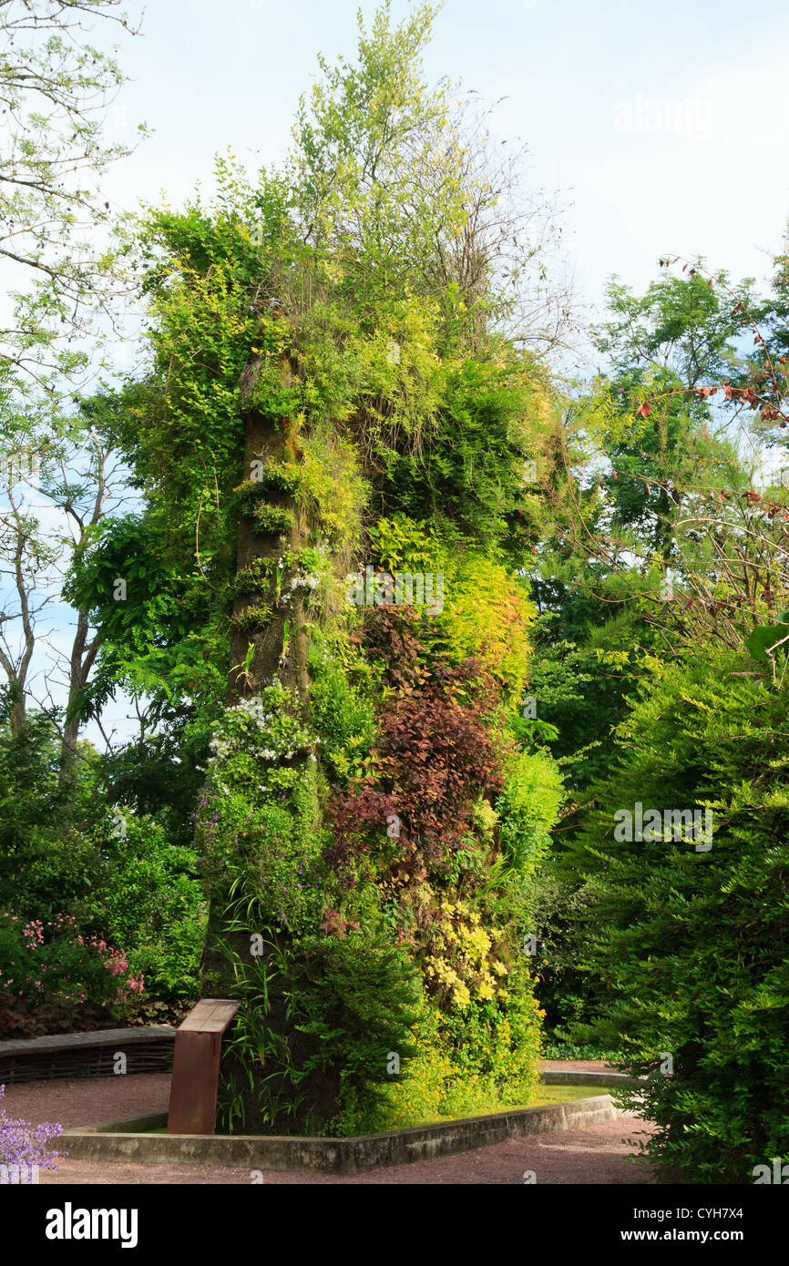 Francia, Festival des jardins de Chaumont-sur-Loire, Parete Verde da Patrick Blanc. (Utilizzare per premere e prenota solo) Foto Stock