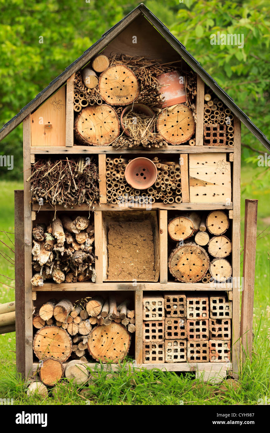 Un rifugio per gli insetti // nichoir à insectes Foto Stock