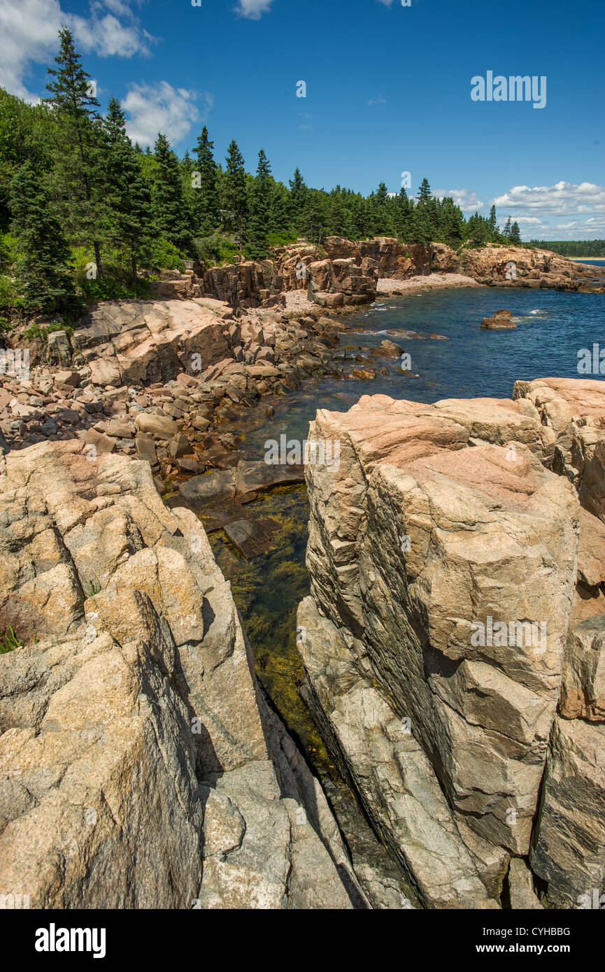 Rocce Rosse del Parco Nazionale di Acadia, Bar Harbor ME Foto Stock