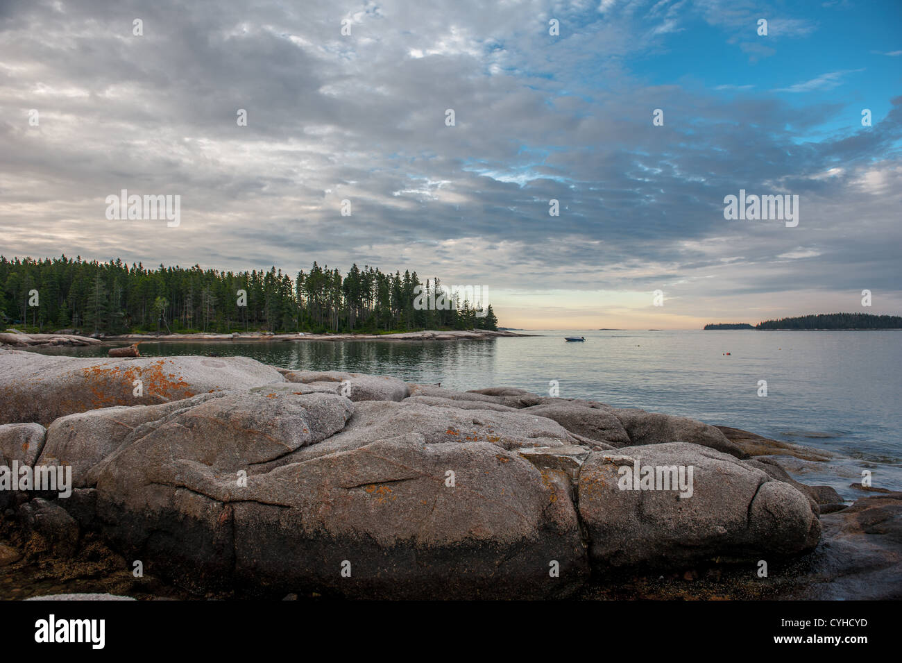 Terreno roccioso di Deer Isle, Maine Foto Stock