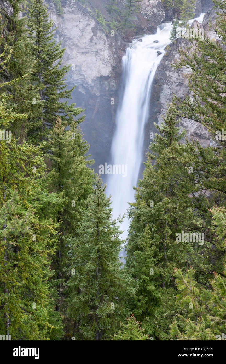 Caduta della torre, il Parco Nazionale di Yellowstone, Wyoming Foto Stock