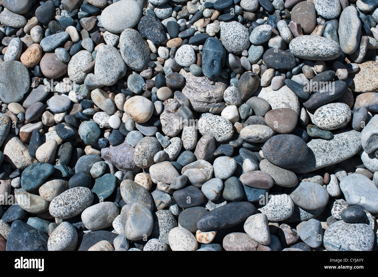 Texture ciottoli. Sacco di colori del mare pietre sulla spiaggia Foto Stock