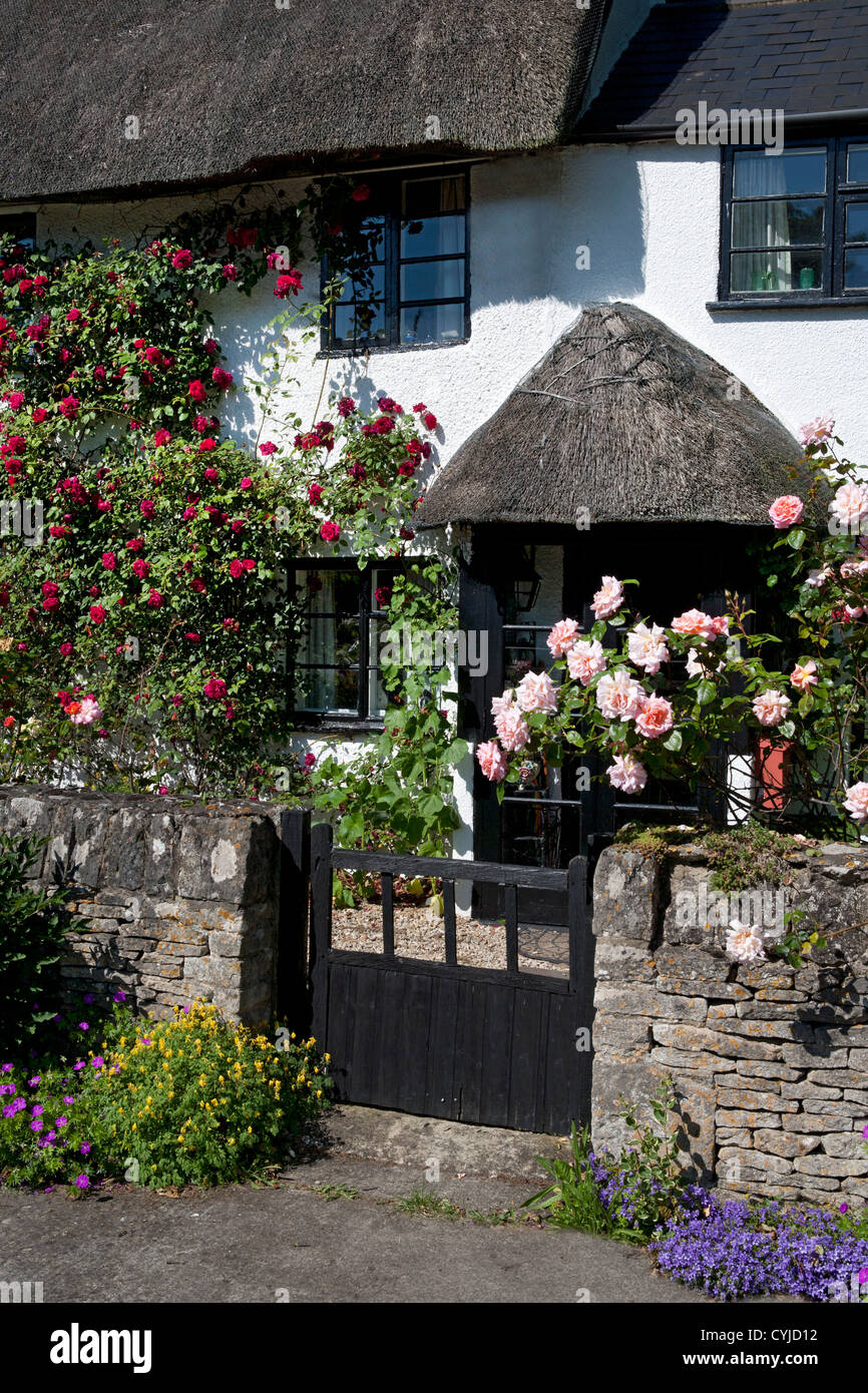 Piuttosto tipico inglese cottage con il tetto di paglia coperto in estate le rose, Oxford, Inghilterra Foto Stock