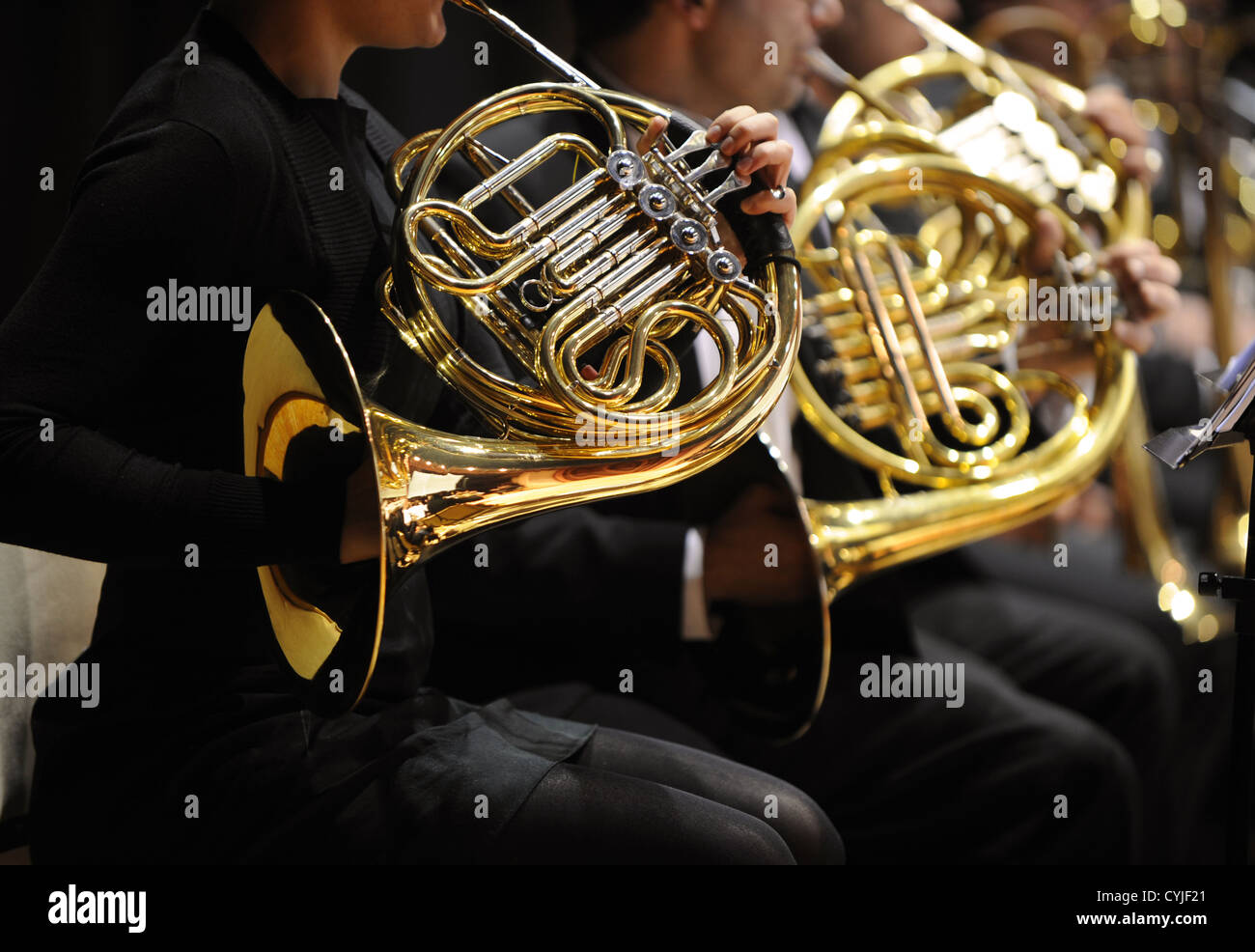 Corno francese durante un concerto di musica classica musica Foto Stock