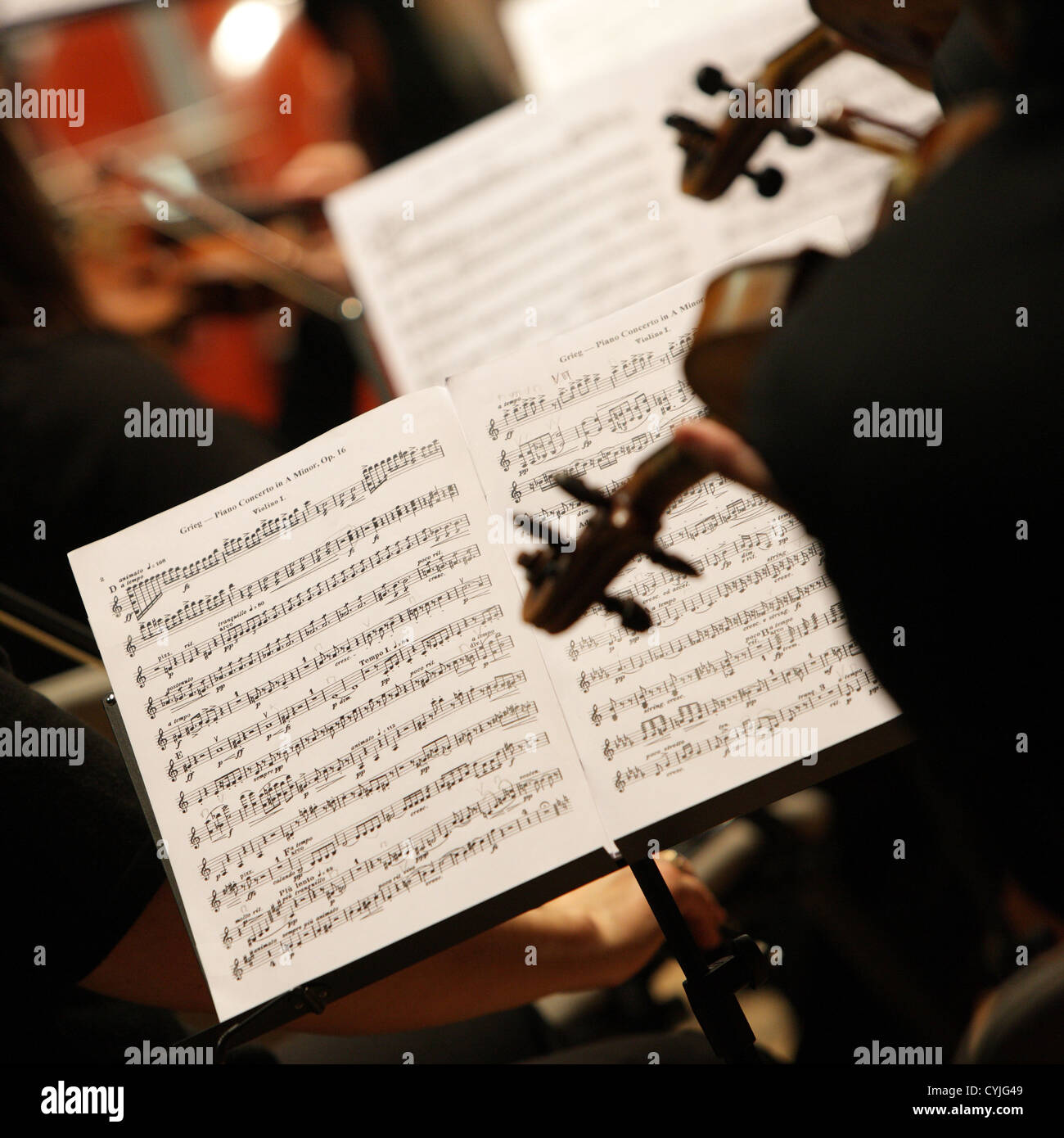 I violinisti durante un concerto di musica classica musica, concentrarsi sul foglio di musica Foto Stock