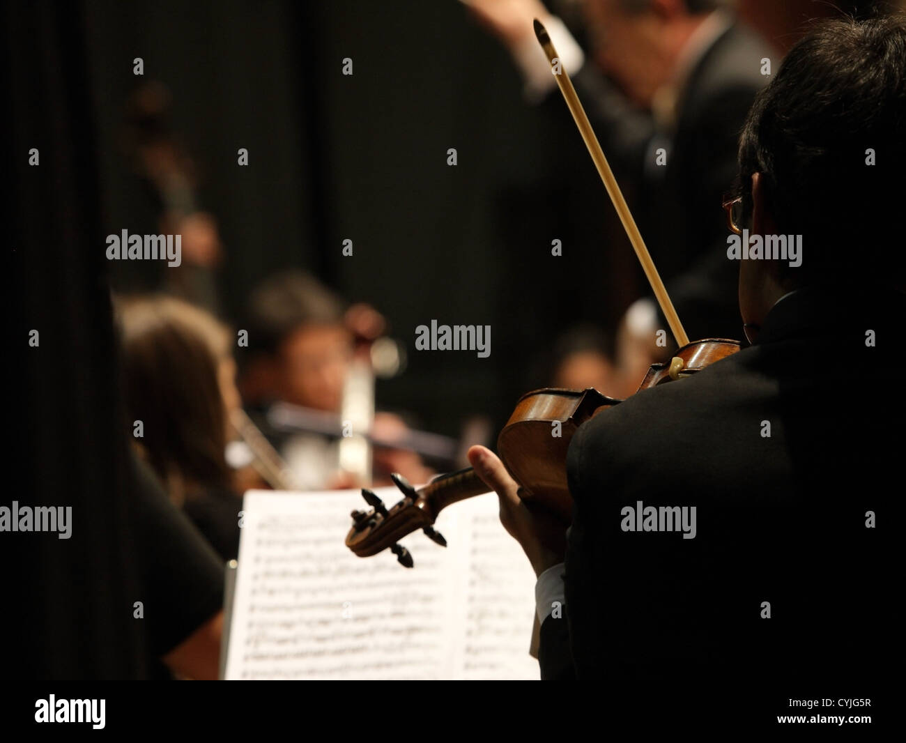 I violinisti durante un concerto di musica classica musica Foto Stock