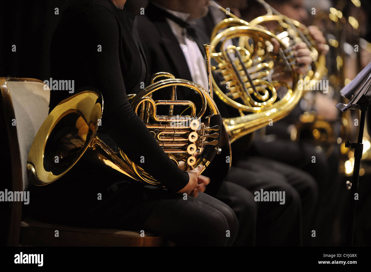 Corno francese durante un concerto di musica classica musica Foto Stock