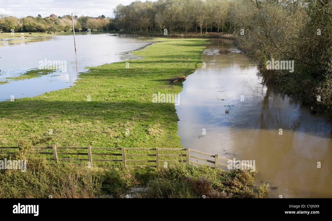 Fiume Deben nel diluvio con acqua sul floodplain Loudham, vicino a Wickham Mercato, Suffolk, Inghilterra Foto Stock