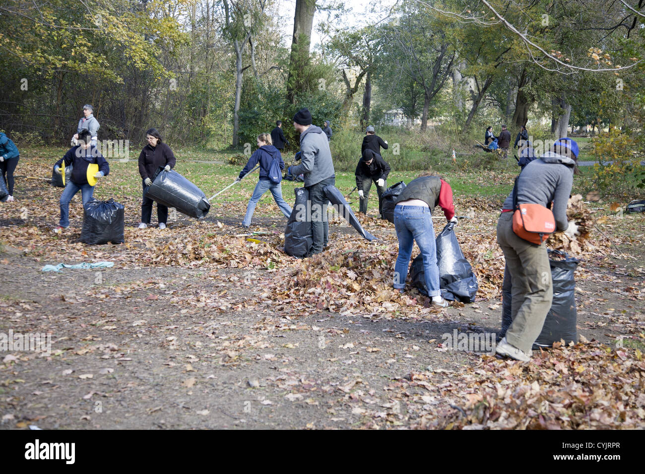 I volontari aiutano a ripulire il Prospect Park di Brooklyn, NY dopo l uragano Sandy ha fatto la sua malizia. Foto Stock