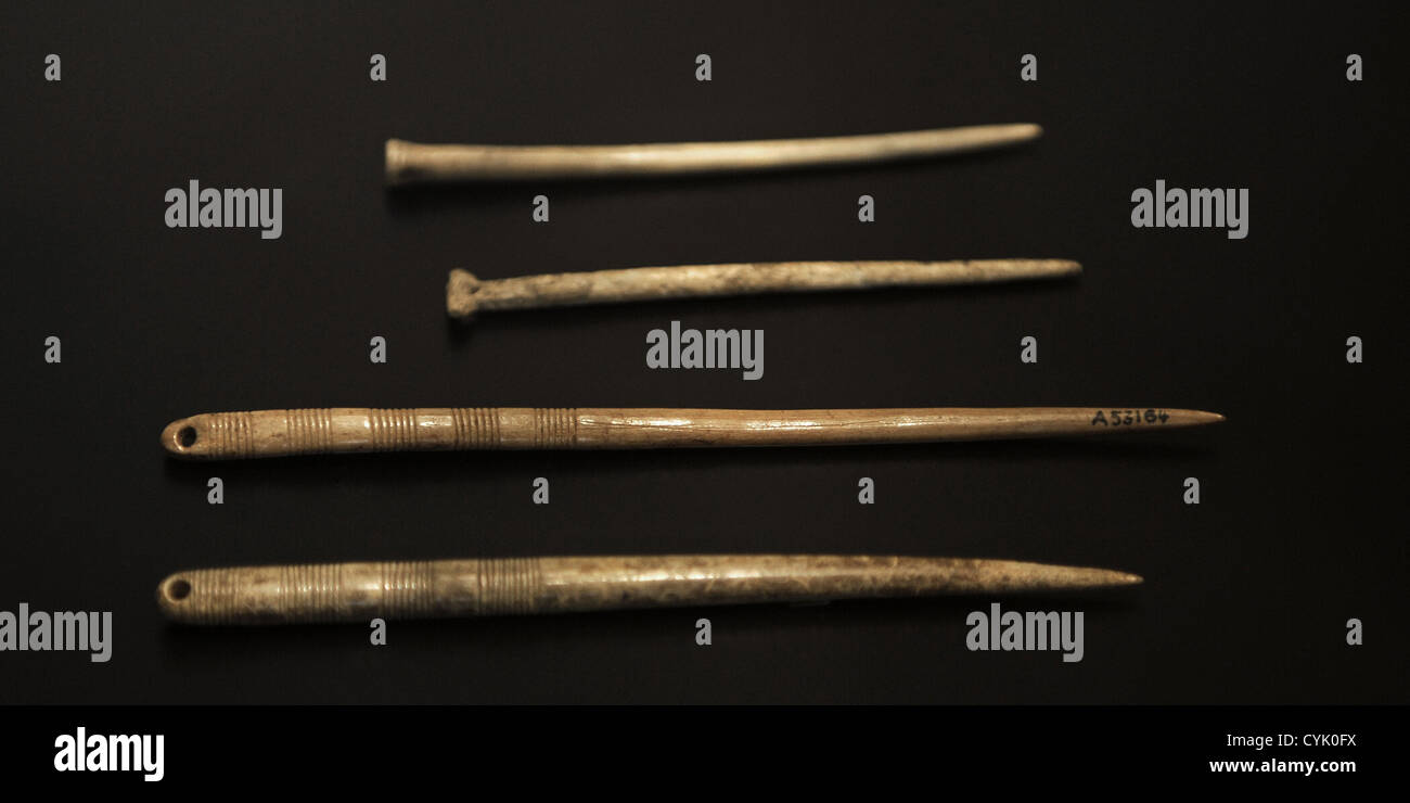 I perni ossei trovati in una tomba e un bog. Periodo Neolitico. Museo nazionale di Danimarca. Copenhagen. La Danimarca. Foto Stock