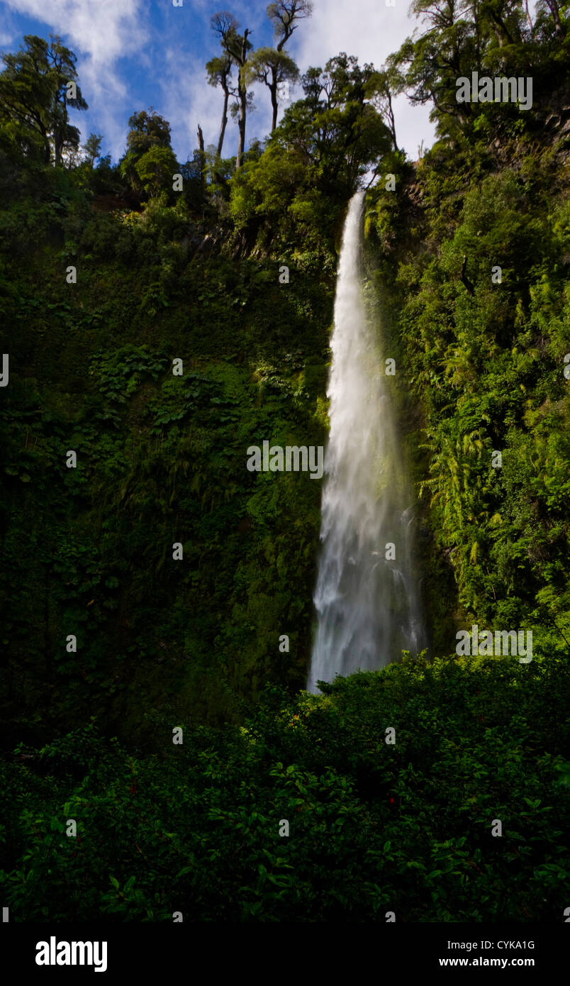 Il Cile. Sud America. Salto la Cina a Rio Palgun Valley. Regione Araucania (IX Regione de la Araucania). Montagne delle Ande. Foto Stock