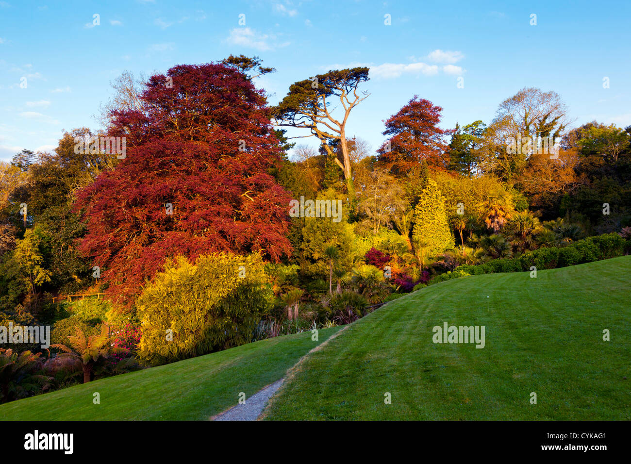 Giardino Trebah; Cornovaglia; Regno Unito; autunno Foto Stock