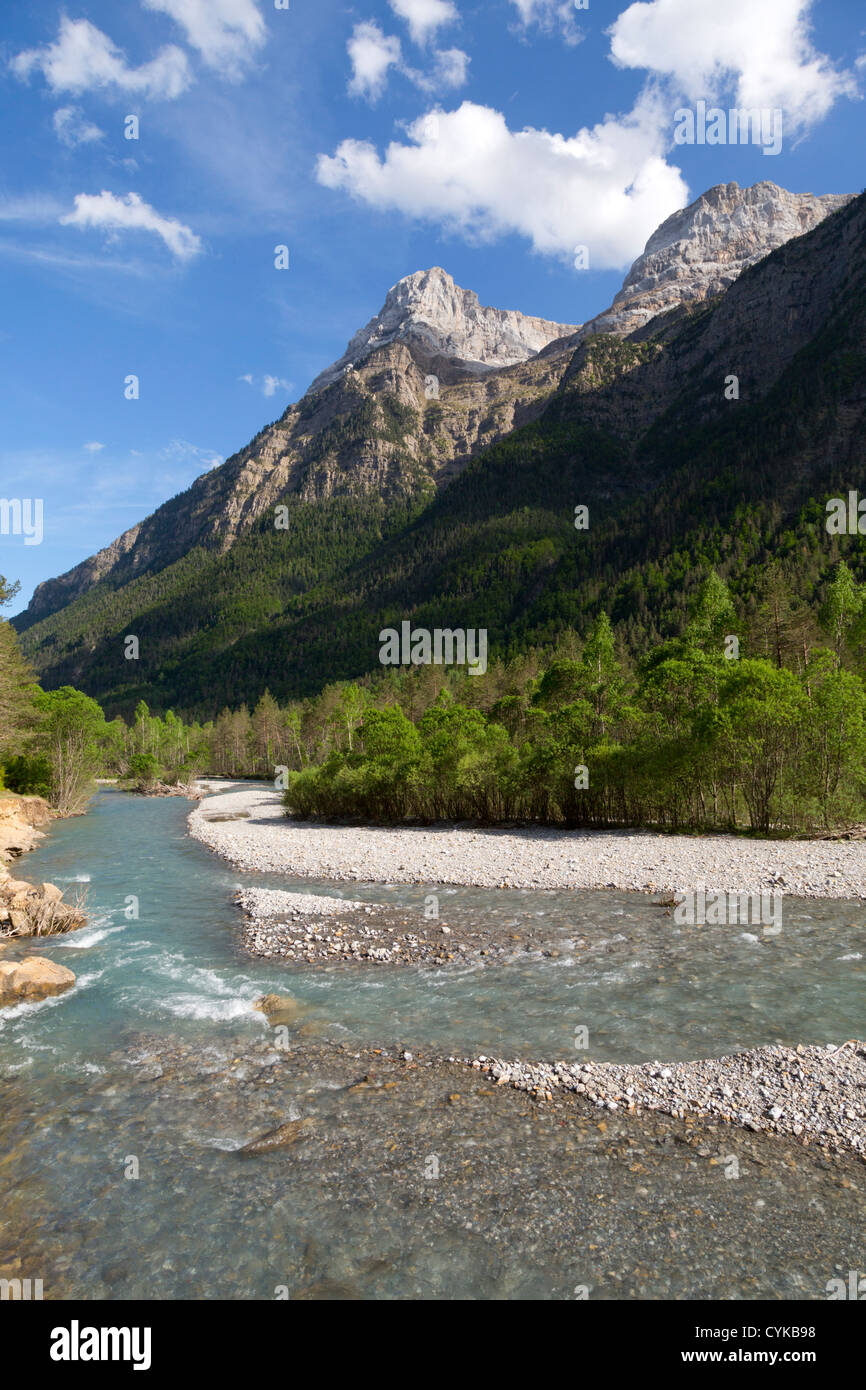 La Valle de Pineta; Pirenei; Spagna; fiume Cinca; Foto Stock