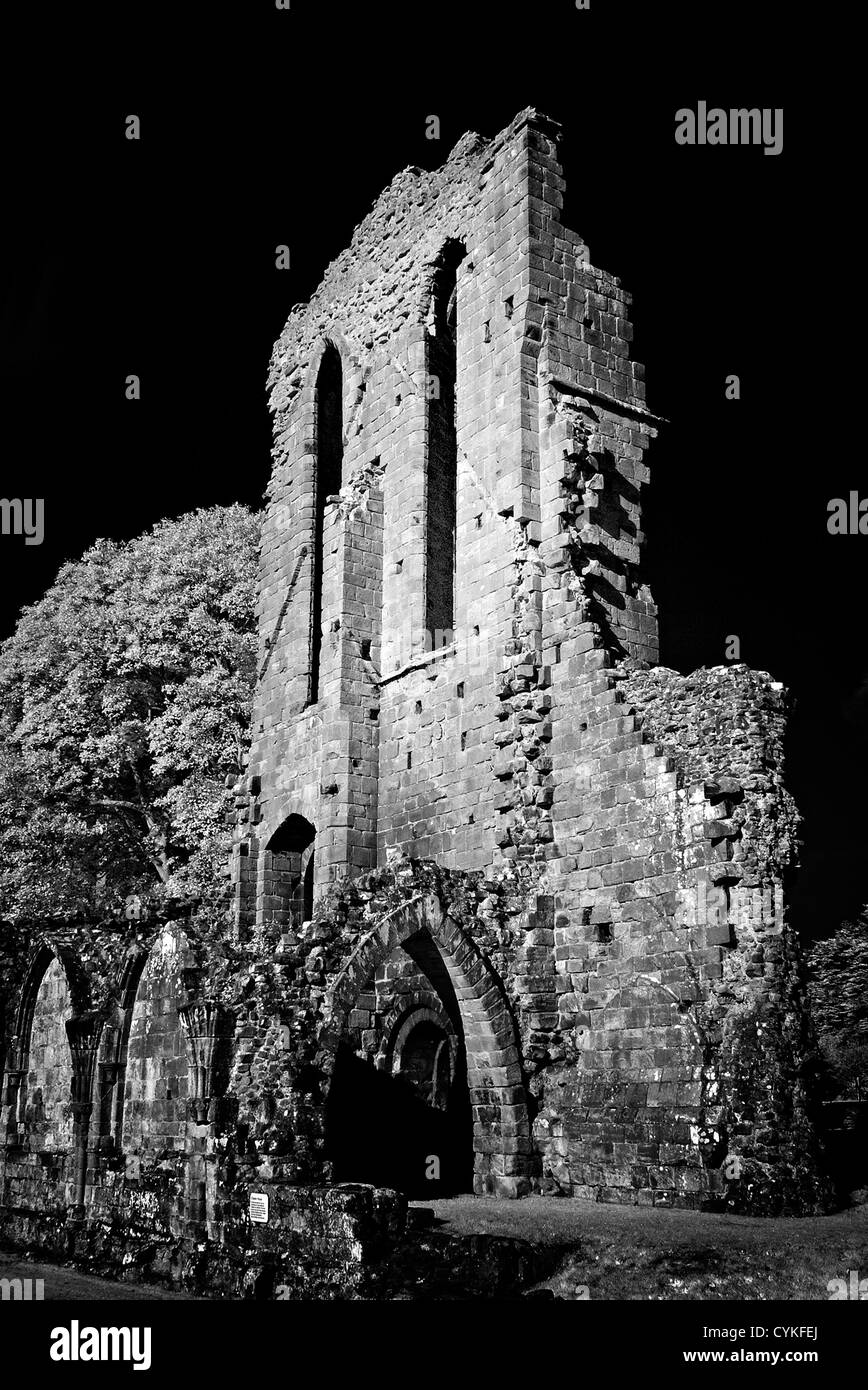Infrarossi immagine monocromatica di Croxden Abbazia Cistercense rovine, vicino Uttoxeter Staffordshire solo uso editoriale Foto Stock