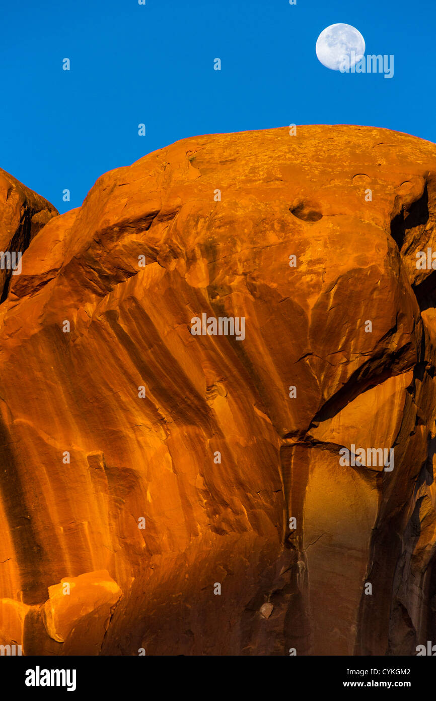 Luna ambientazione sulla Parata degli Elefanti formazione rocciosa all'alba nel Parco Nazionale di Arches nello Utah. Foto Stock