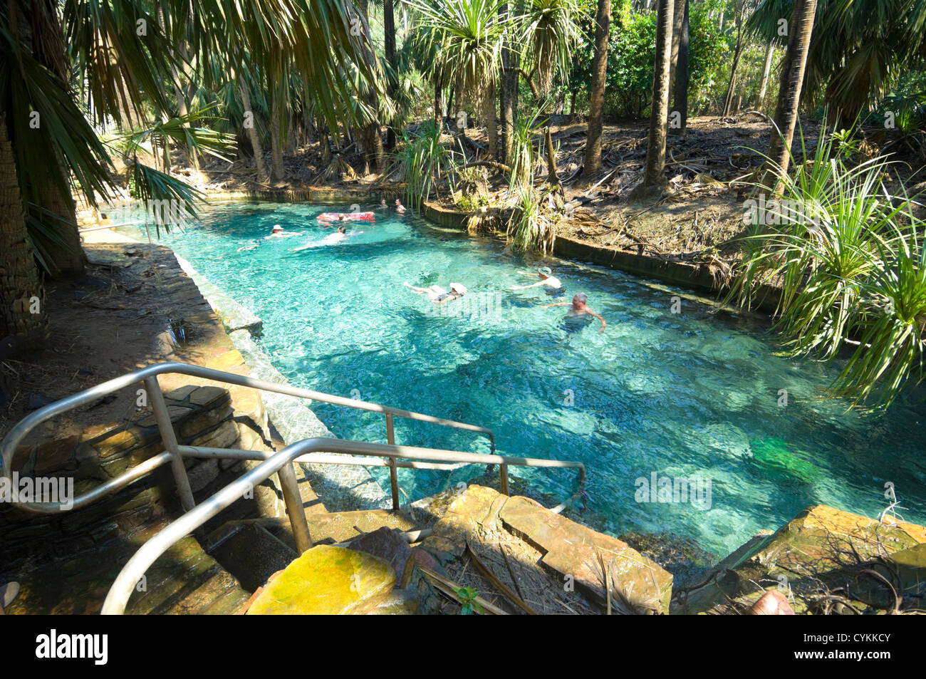 Mataranka Thermal Pool, Territorio del Nord, l'Australia Foto Stock