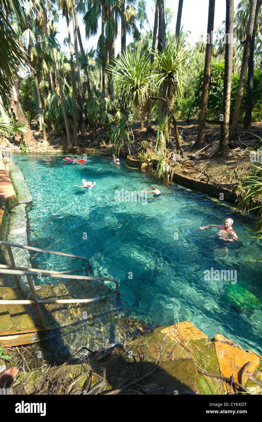 Mataranka Thermal Pool, Territorio del Nord, l'Australia Foto Stock