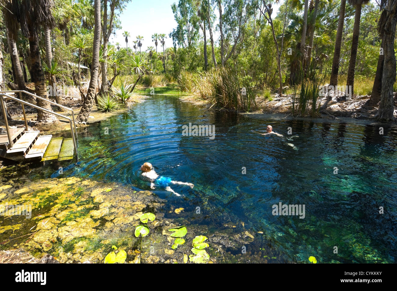 Bitter Springs, Territorio del Nord, l'Australia Foto Stock