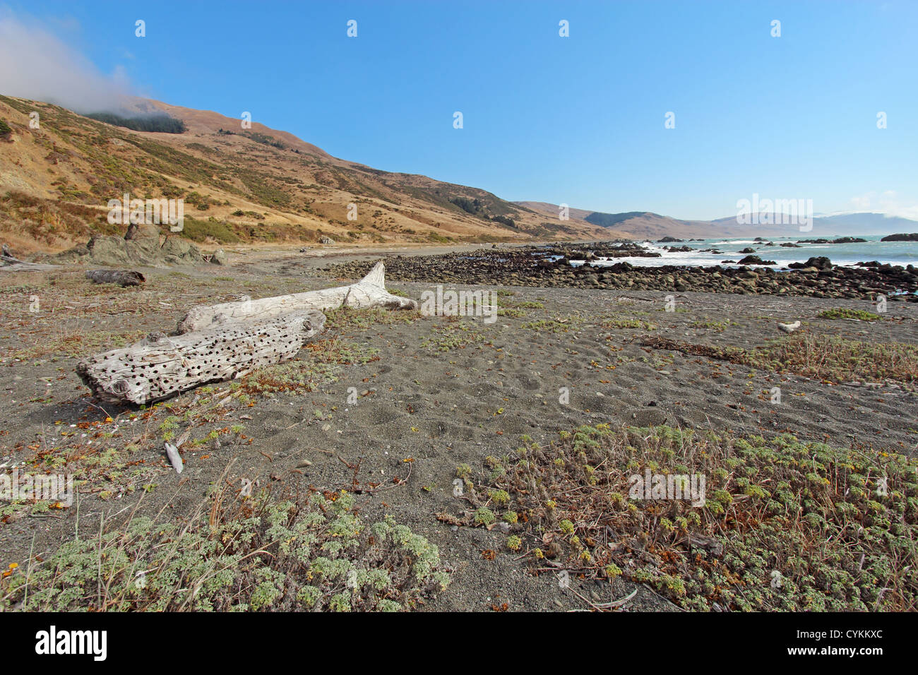 Una spiaggia di ciottoli e registri driftwood contro un luminoso cielo blu al di fuori della strada Mattole sul perso costa della California Foto Stock