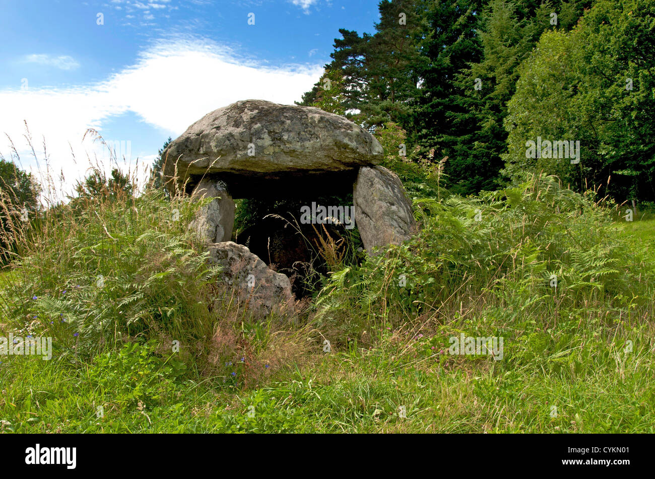 Dolmen vicino Ambert, Puy de Dôme, Francia, Europa Foto Stock