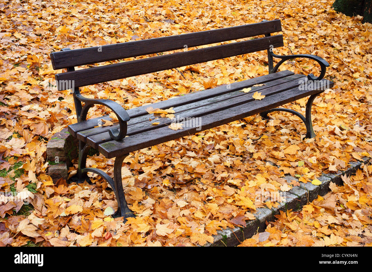 In autunno una panchina nel parco con foglie cadute su di esso e dintorni Foto Stock