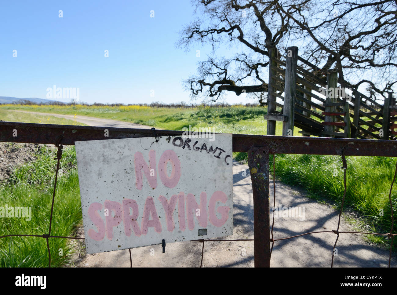 Nessun segno di spruzzatura a azienda agricola biologica Foto Stock