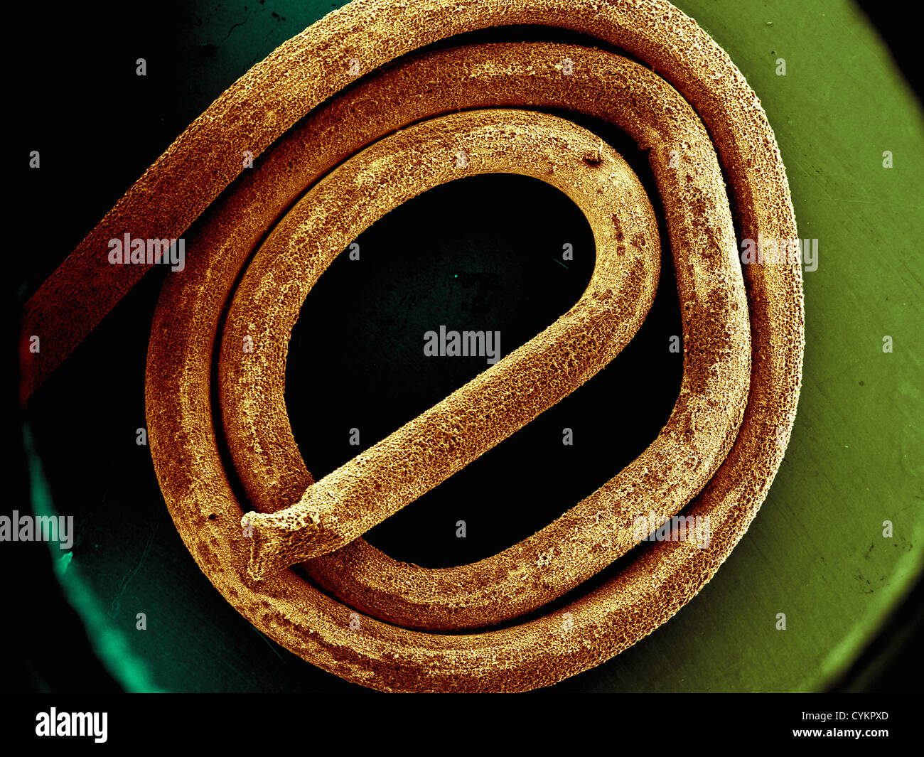 SEM di depositato chimicamente antimonio su substrato metallico Foto Stock