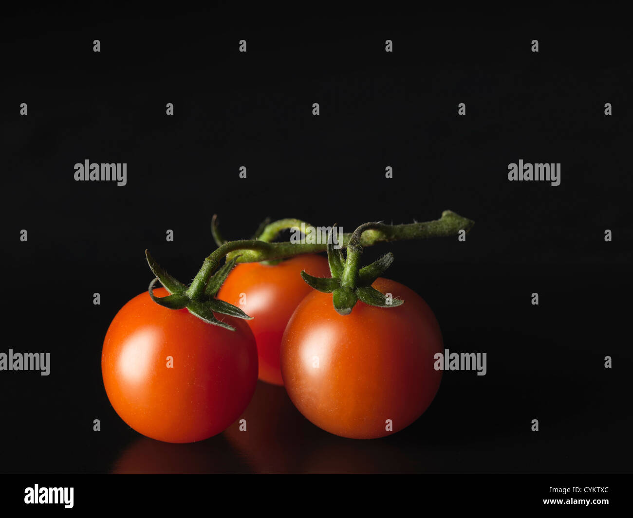 Close up di pomodori in vigna Foto Stock