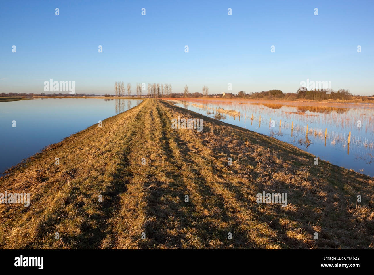 In un invaso in riva al fiume con alberi di pioppo e una vecchia chiesa all'orizzonte sotto un cielo blu Foto Stock
