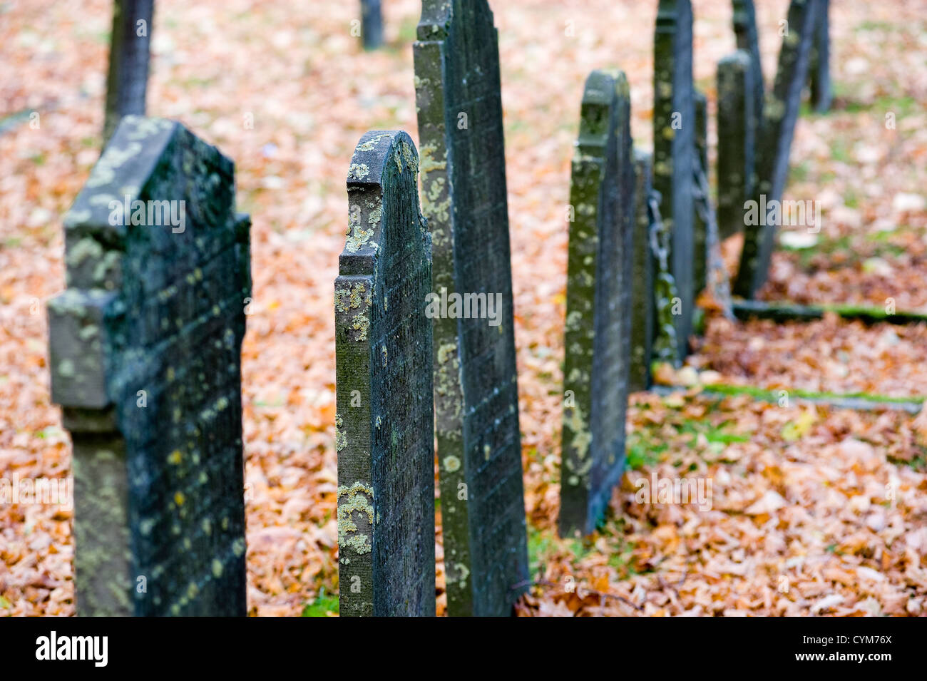 Una fila di vecchie lapidi in un cimitero in autunno Foto Stock