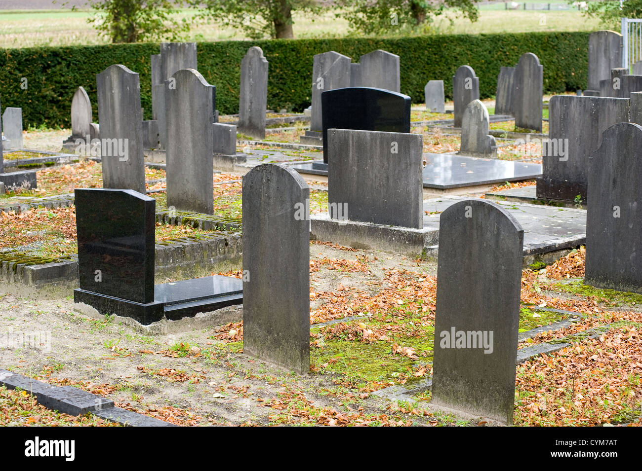 Diverse lapidi in un cimitero in autunno Foto Stock