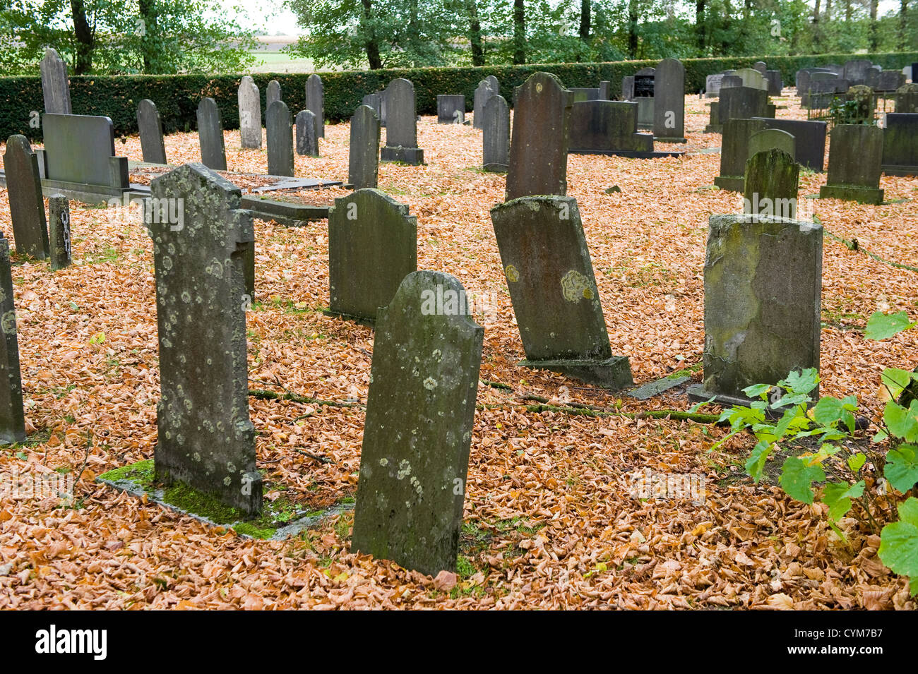 Diverse vecchie lapidi in un cimitero in autunno Foto Stock