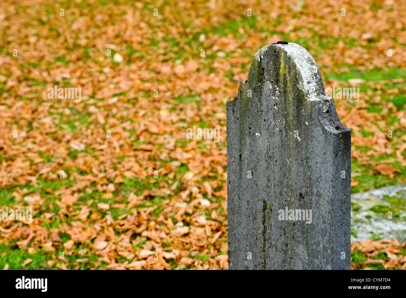 Un vecchio oggetto contrassegnato per la rimozione definitiva su un cimitero in autunno Foto Stock