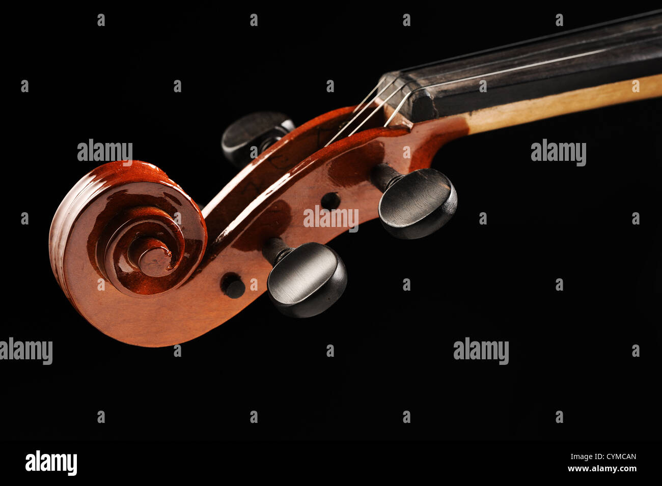 Immagine ravvicinata di un violino Foto Stock