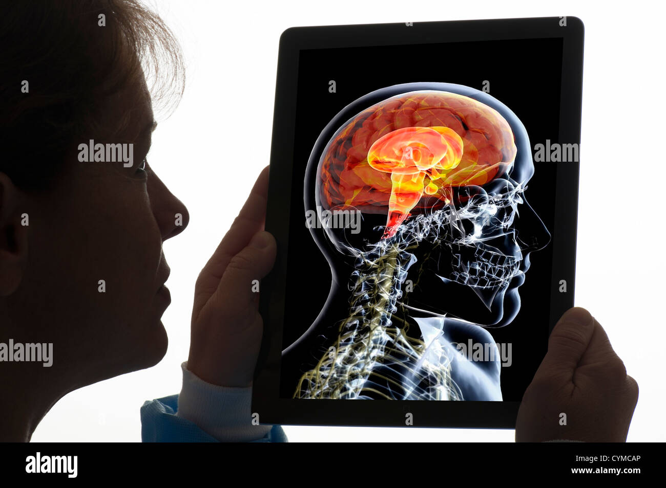 Donna medico tenendo iPad con illustrazione medica Foto Stock