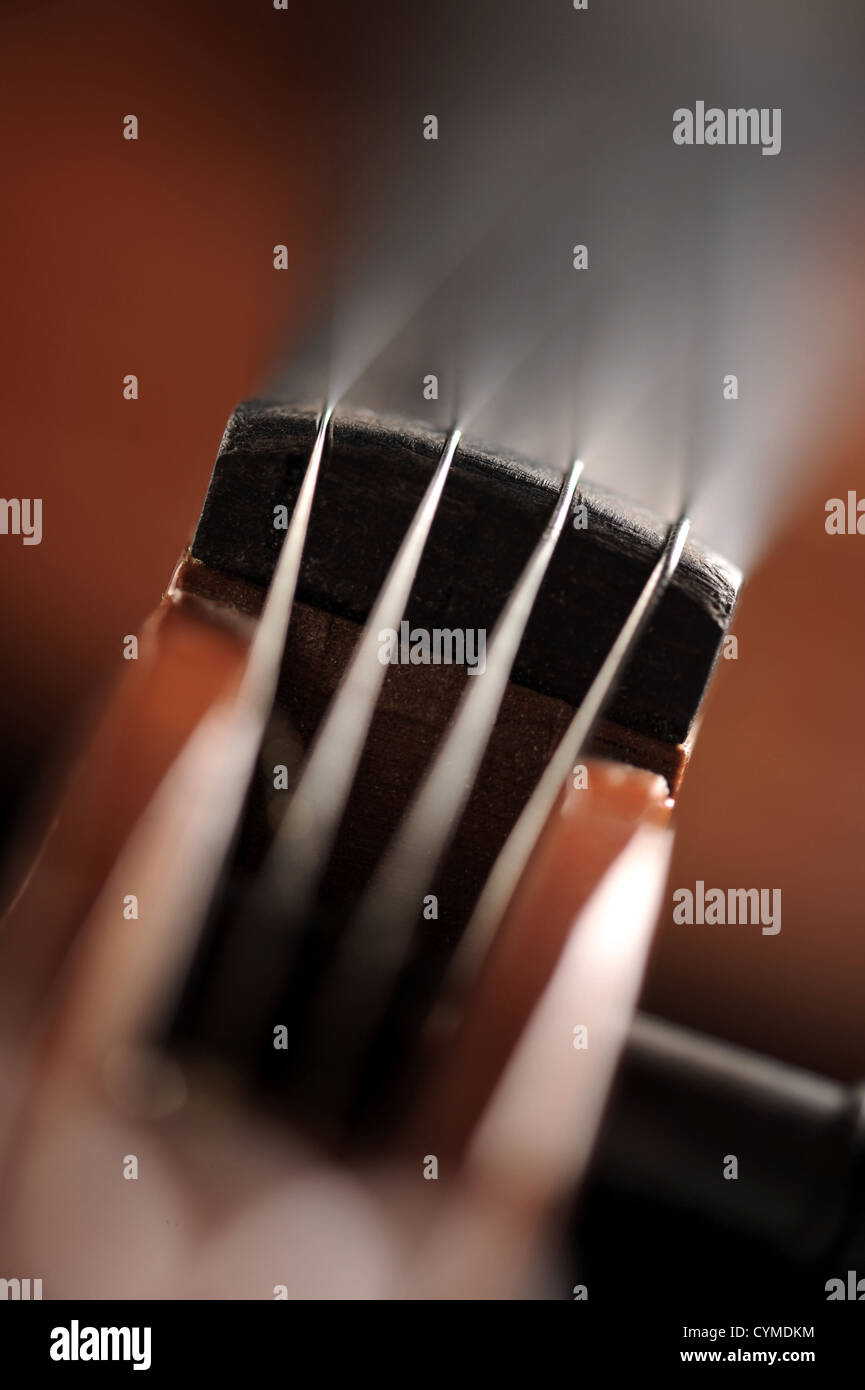 Immagine ravvicinata di un violino, basse profondità di campo Foto Stock