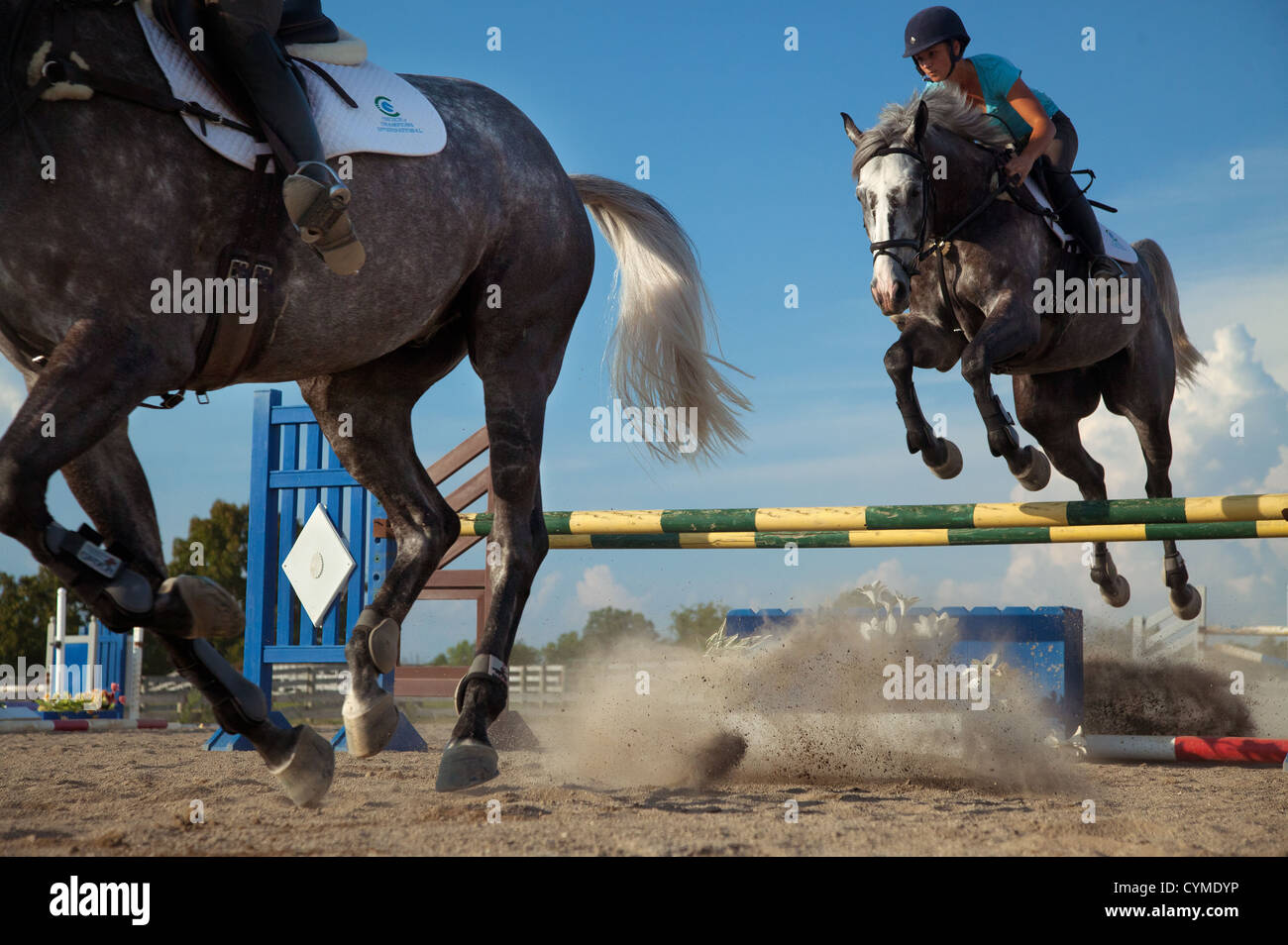 Un cavaliere ottiene airborne durante la pratica per un evento equestre. Foto Stock