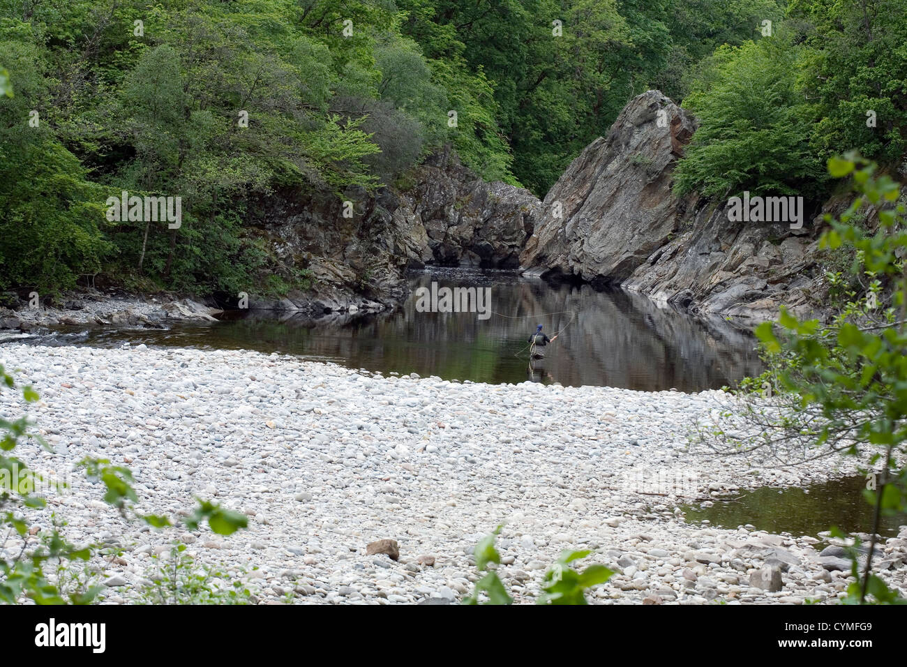 La fusione di una linea di Pesca a Mosca Report di Pesca in una piscina di fronte della ghiaia del fiume Garry a Killicrankie tra Blair Atholl e Pitlochry Foto Stock