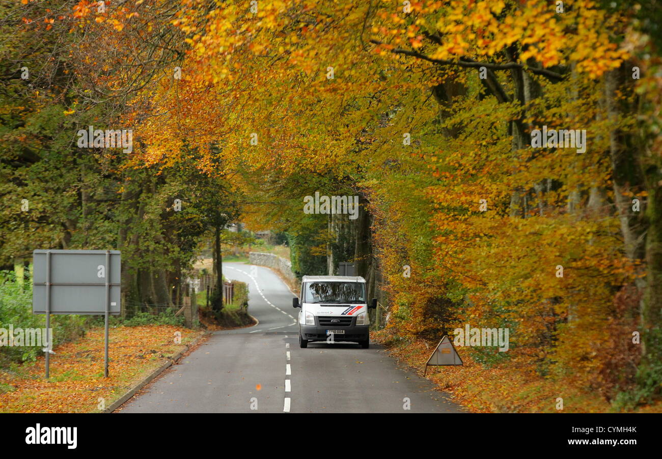 Autunno METEO Foto Foto: foglie giallo girare sulla A487 strada in Aberllefeni, vicino Tywyn, Gwynedd, il Galles del nord come temperature drop. Mercoledì 07 Novembre 2012 Foto Stock